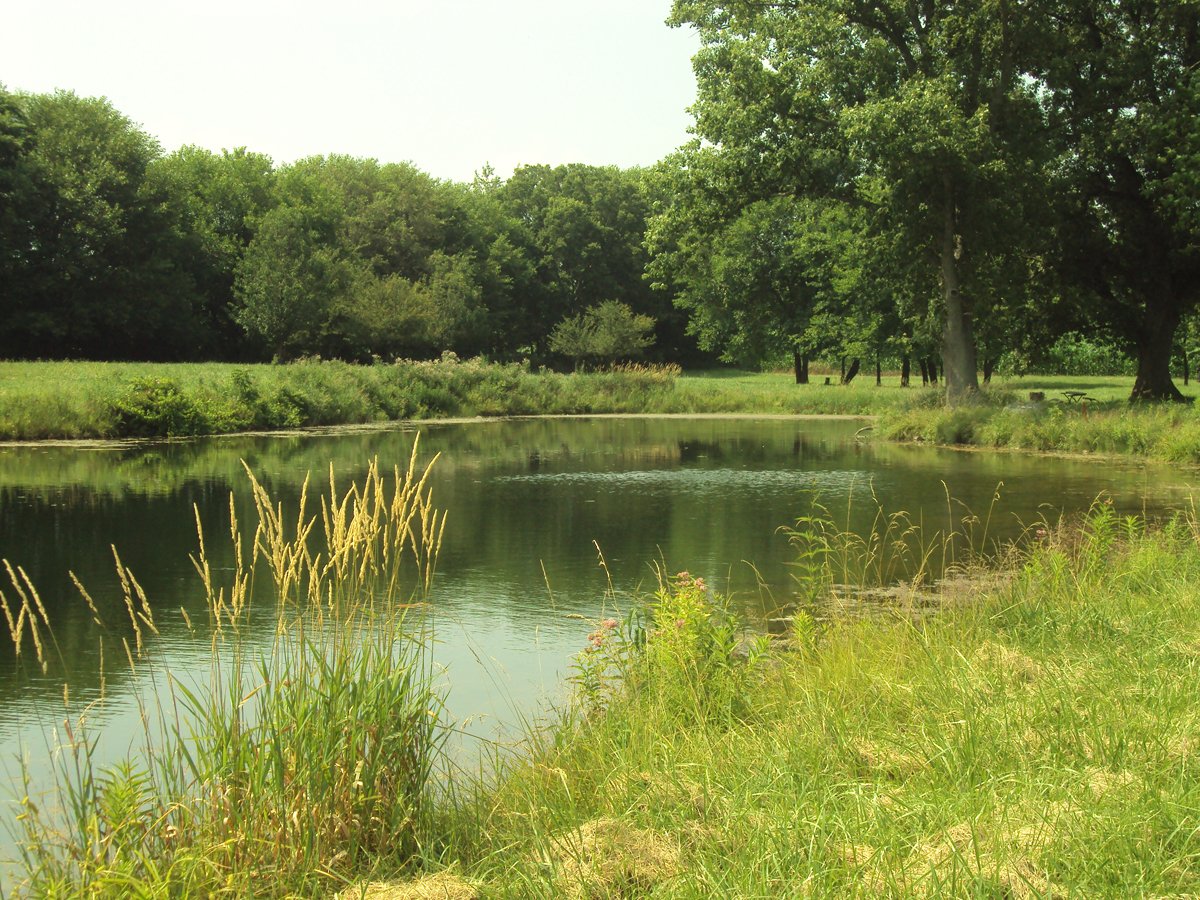 Property photo 26 - 160 Acres Offered in 6 Tracts